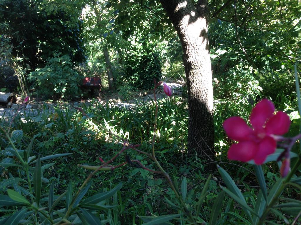 Villa Cascina Folletto à Novi Ligure Extérieur photo